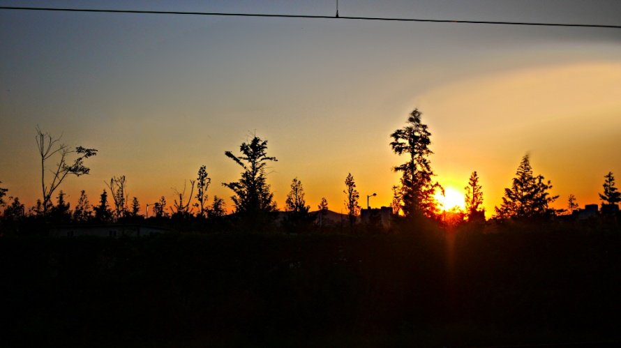 P1000155_3.jpg P1000155_3.jpg