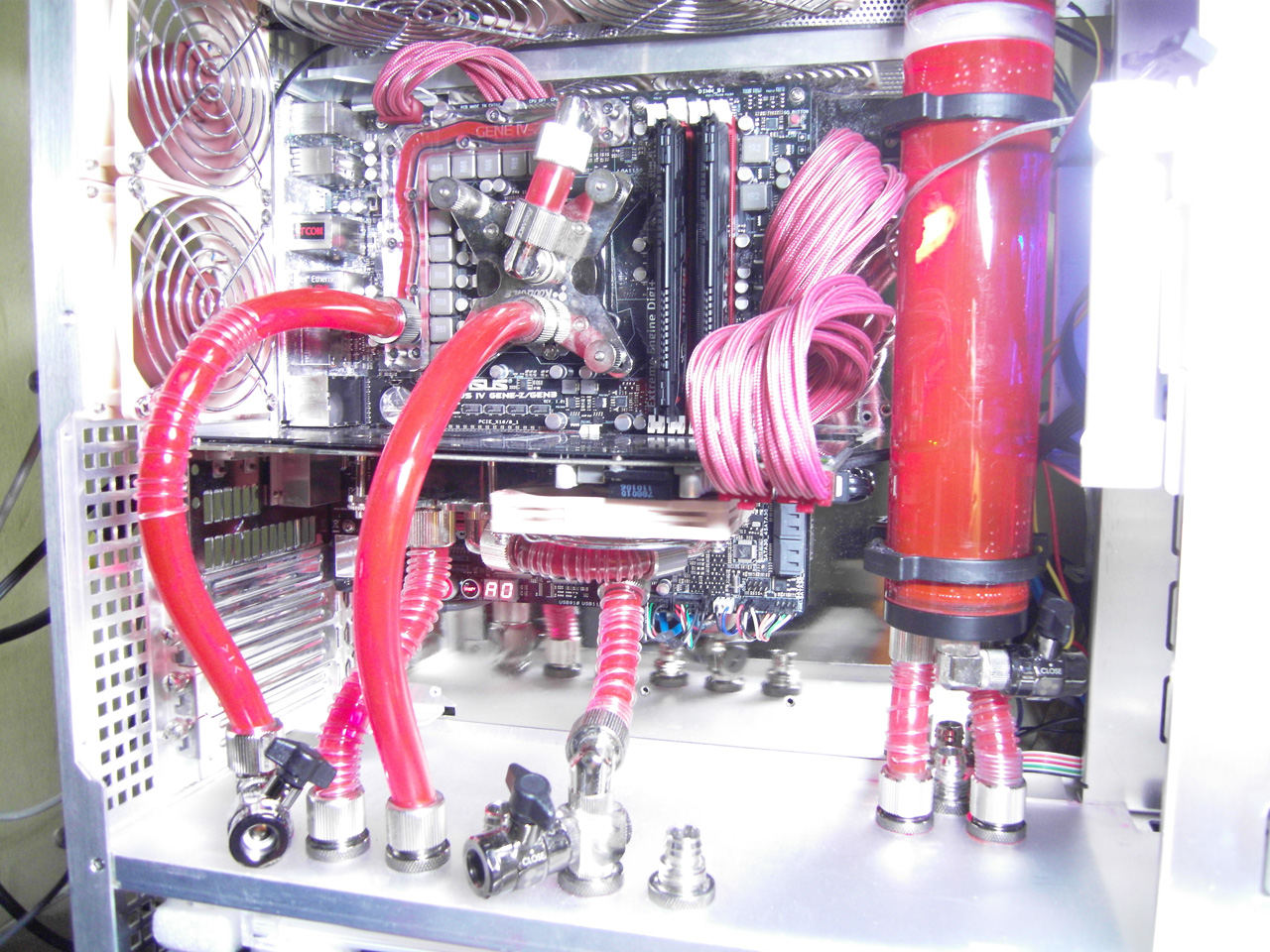 SDC10569.JPG