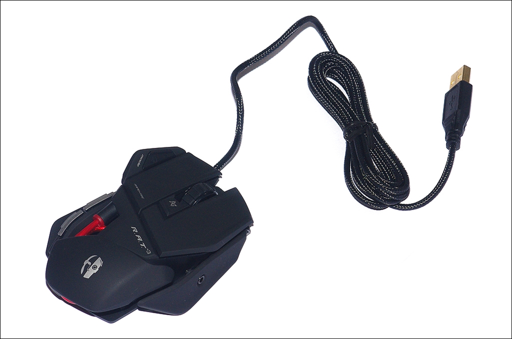 rat3_1_3.jpg