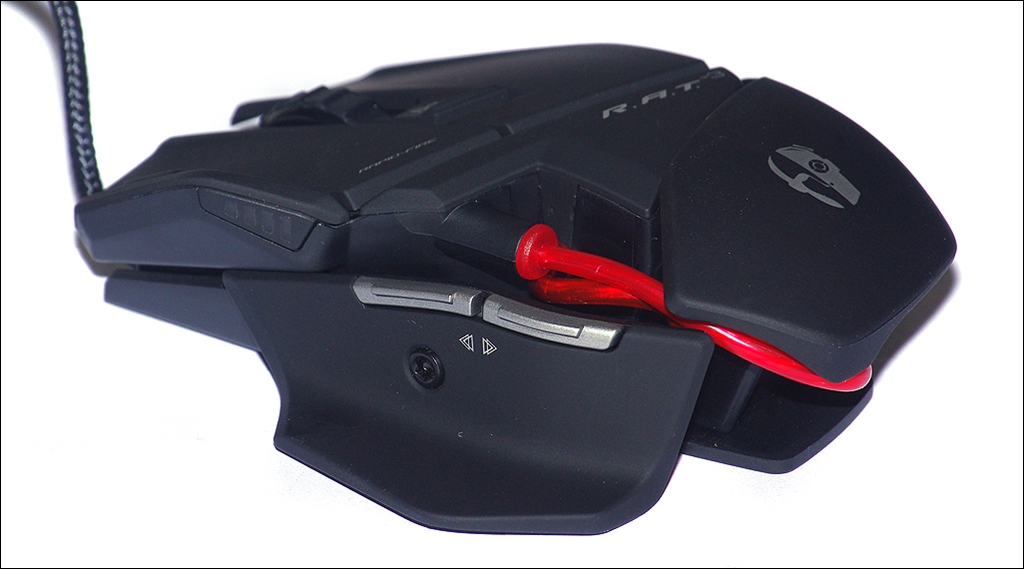 rat3_1_7.jpg