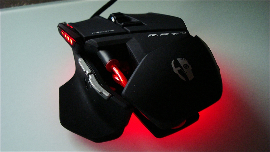 rat3_1_17.jpg