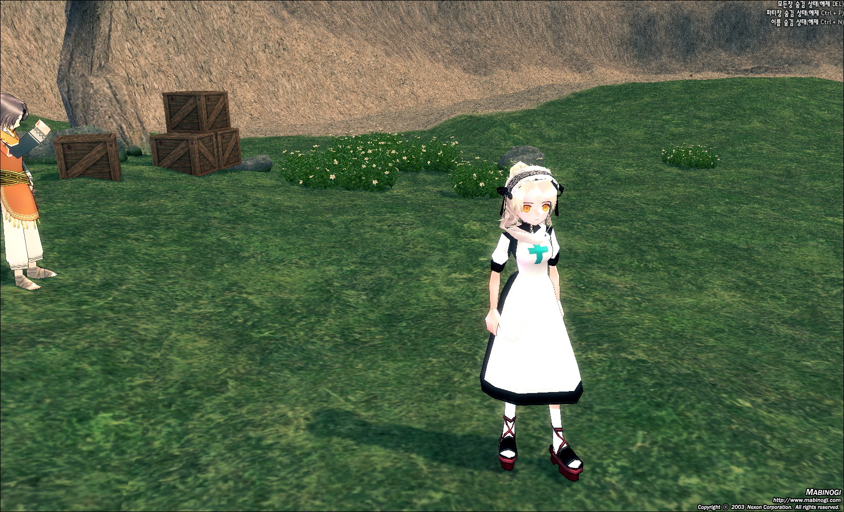 mabinogi_2010_01_16_009.jpg