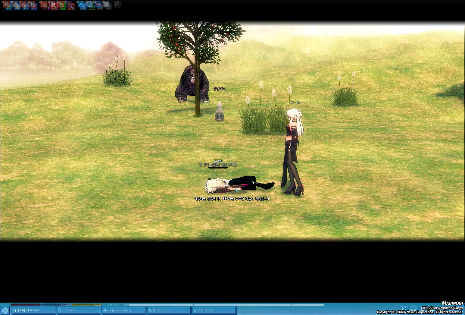 mabinogi_2010_02_09_009.jpg