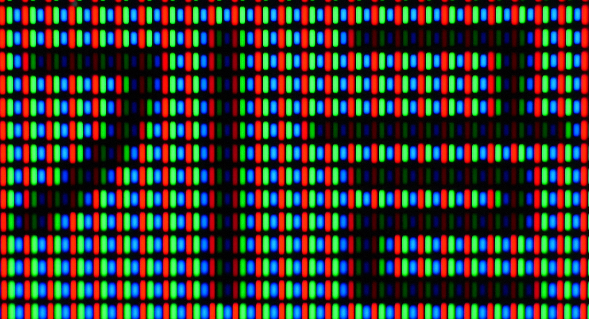P3100035.JPG