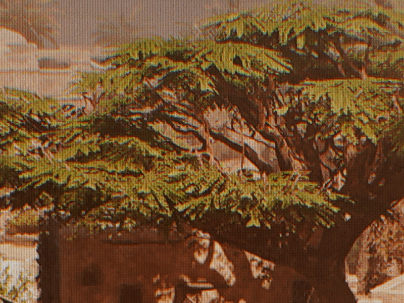 5.gif