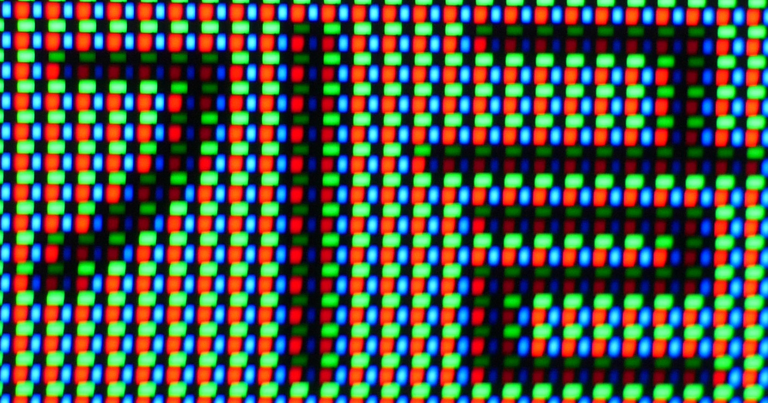 P3100050.JPG