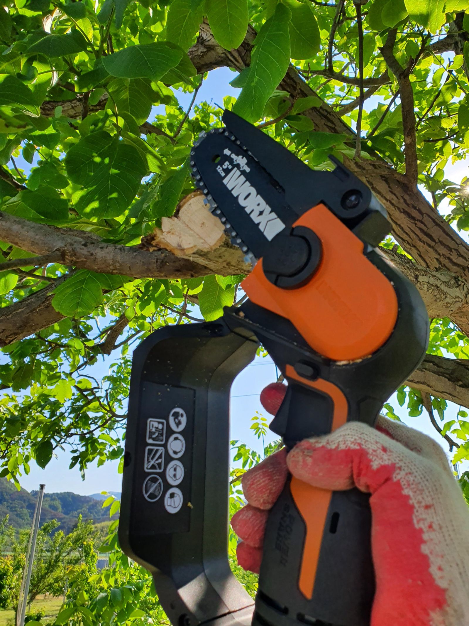 전기톱 후기. - 커뮤니티 게시판 - 기글하드웨어